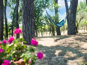 Garden - Enchanting Coastal With Views (Pesaro)