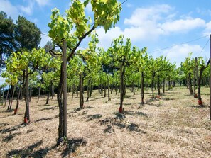 Hus | Utsikt från boendet