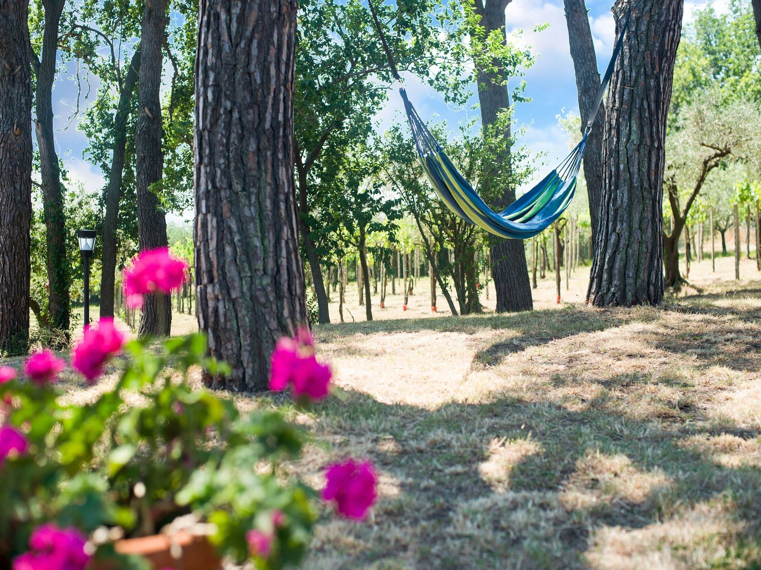 Ferienhaus | Garten