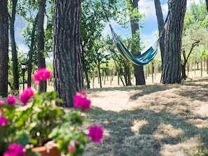 Garden - Enchanting Coastal With Views (Pesaro)