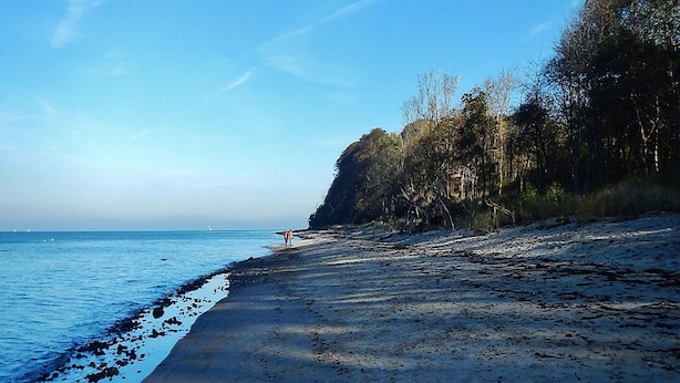 A beach with a clear sky, calm sea, and a forested cliff. - Restful Holiday Home in Kalkhorst near Beach & City Center (Kalkhorst)