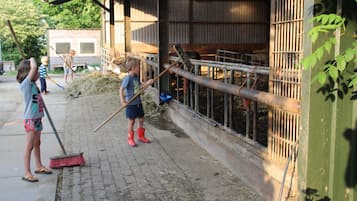 House | View from property