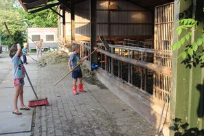 單棟房屋 | 住宿景觀