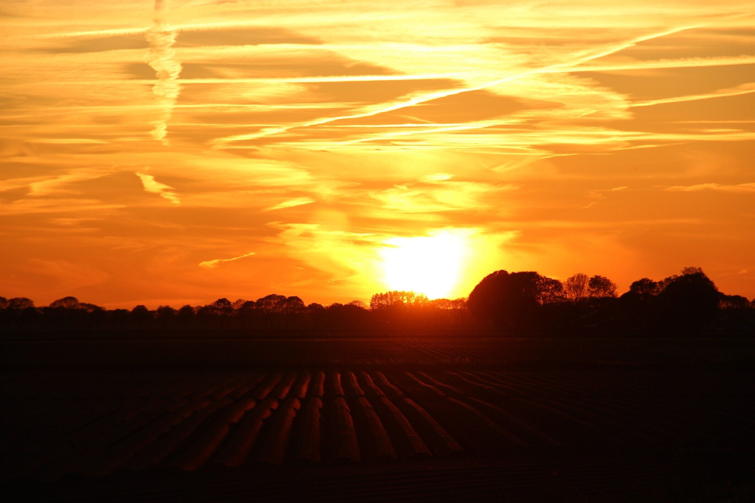 Un tramonto su un campo sotto un cielo sereno.