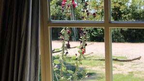 Een uitzicht op een tuin en bomen.