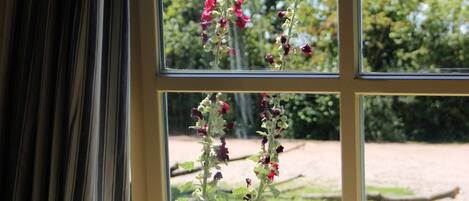 House | View from property