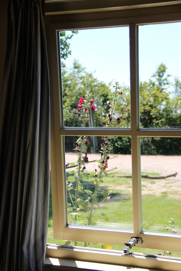 House | View from property