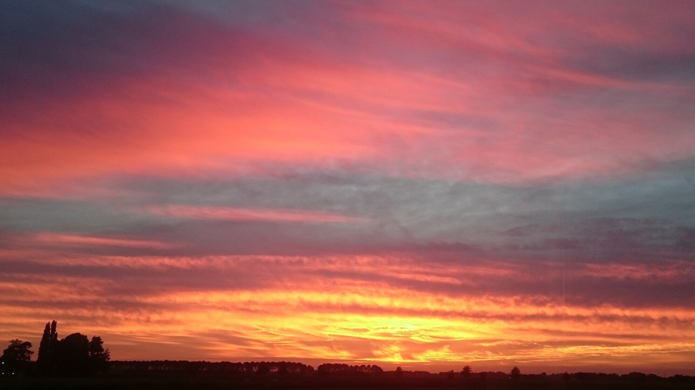 A sunset with a vibrant sky and silhouettes of trees.