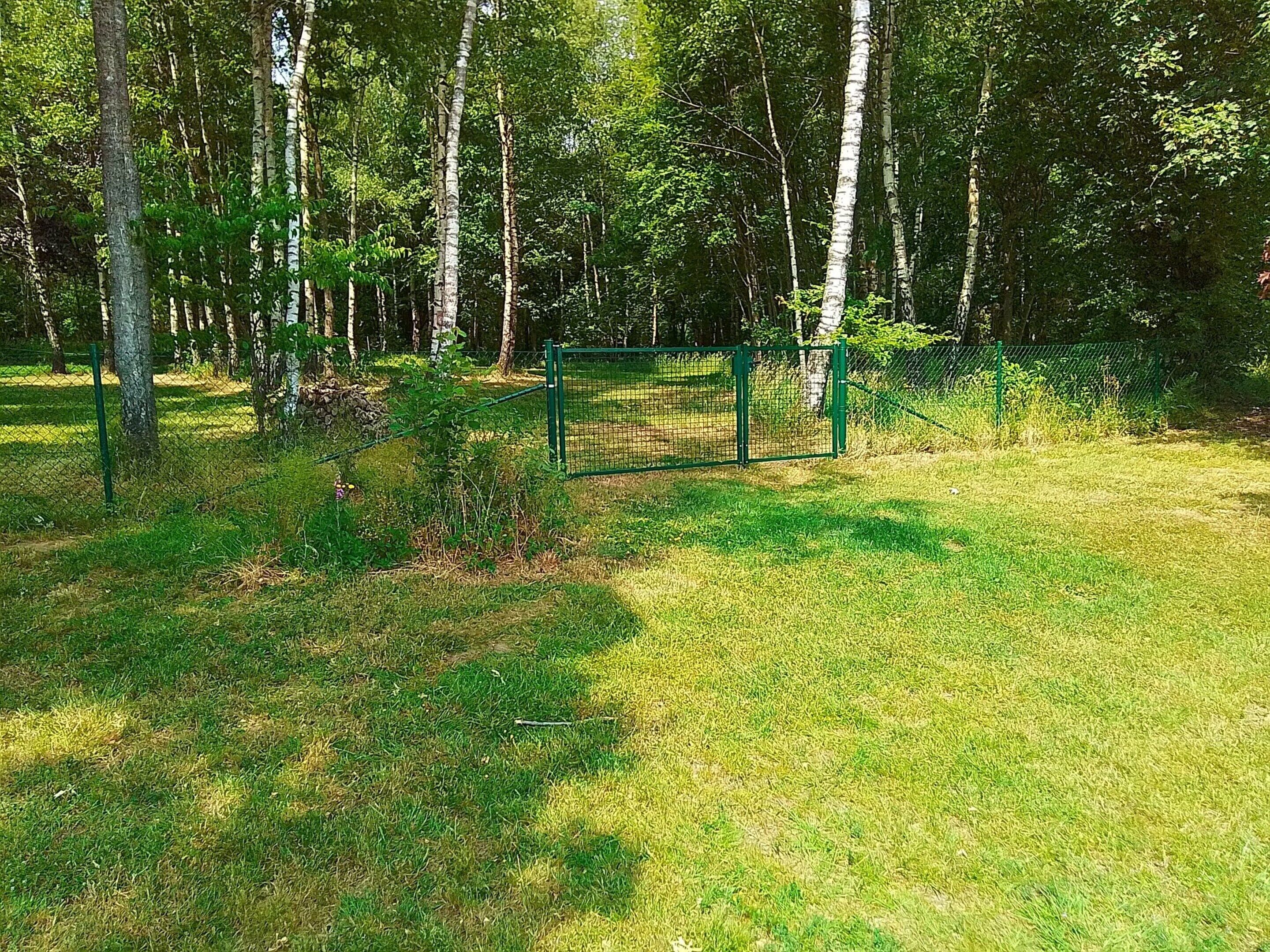 Un espace clos, avec de l’herbe et des arbres.