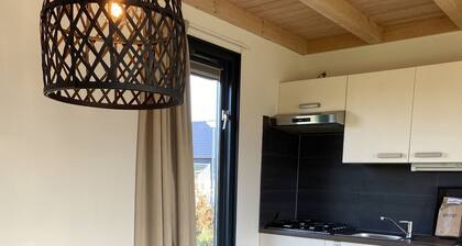 Chalet in Friesland Near Alde Feanen Park