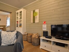 House | Living area | Fireplace, DVD player