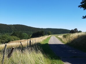Exterior - Secluded Holiday Home in Hallschlag near Lake & City Center (Hallschlag)