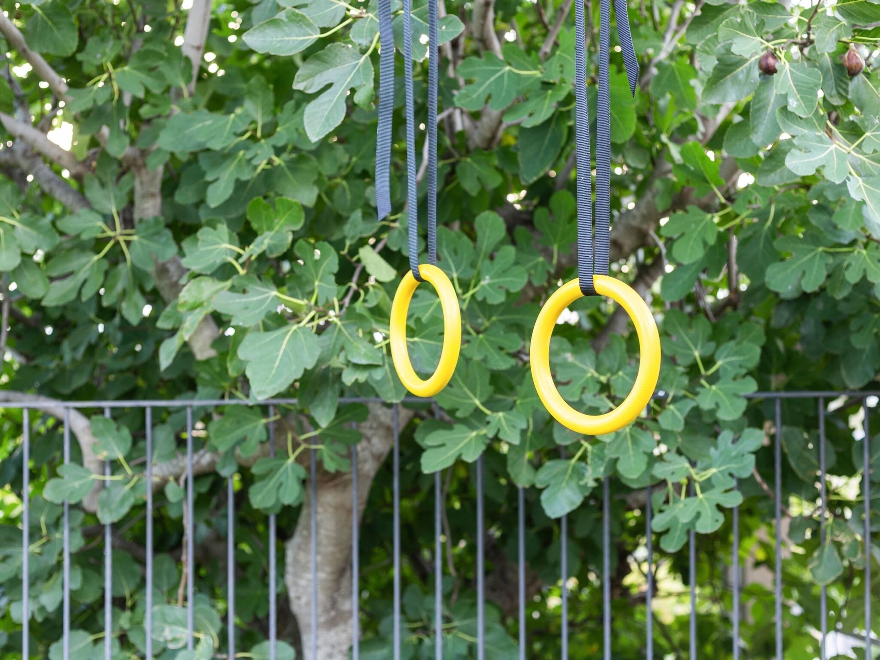 Two yellow rings hanging from a metal structure amidst green foliage.