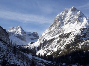 Apartment | View from property - Apartment in Bichlbach Near Ski Slopes (Bichlbach)