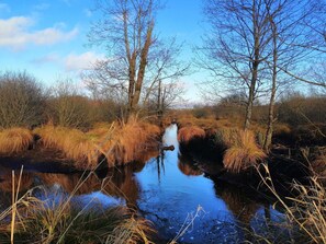 View from property - Nice Chalet by the Woods in Saint-leger (Saint-Léger)