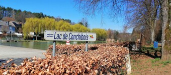 Nice Chalet by the Woods in Saint-leger