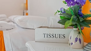 Room - Lovely Apartment in Roma near Colosseum (Rome)