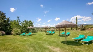 A grassy outdoor area with several green lounge chairs and thatched umbrellas. - Tuscan Farmhouse in Montescudaio near Sea (Montescudaio)