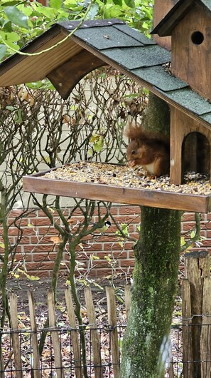 Chalet | Détail de l’intérieur