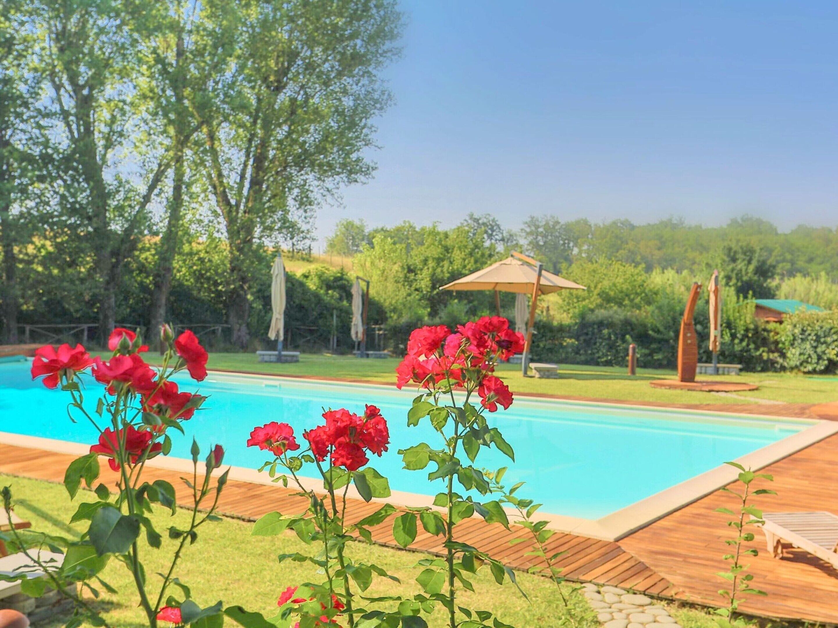 Ein Schwimmbecken mit Holzterrasse, umgeben von üppiger Bepflanzung und einem Gazebo.