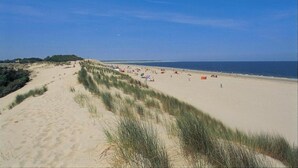 Una playa con dunas y cielo despejado.