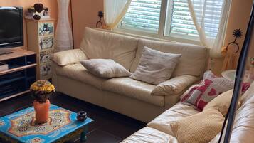 Fireplace, DVD player