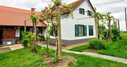 Holiday Home With Well-kept Interior, Near the River Mura & Spa Resort