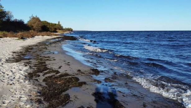 En strand med en sandstrand och vågor.