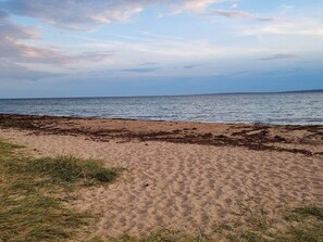 Une plage de sable et d’algues, sous un ciel partiellement nuageux.