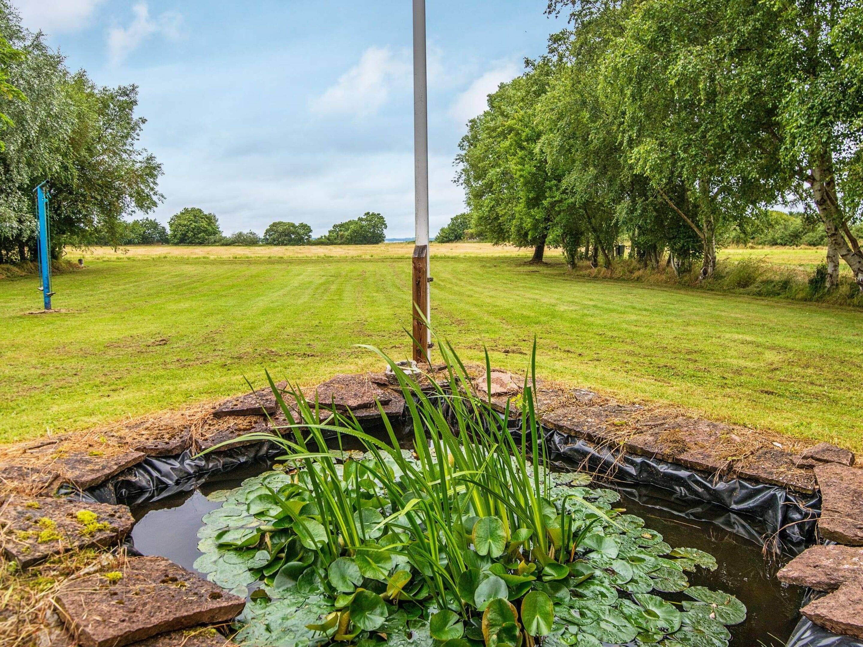 A pond with lily pads and water plants, surrounded by a grassy field and trees.