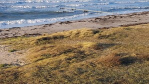 A beach with waves, a wooden walkway, and grassy dunes. - 6 Person Holiday Home in Gorlev (Gørlev)
