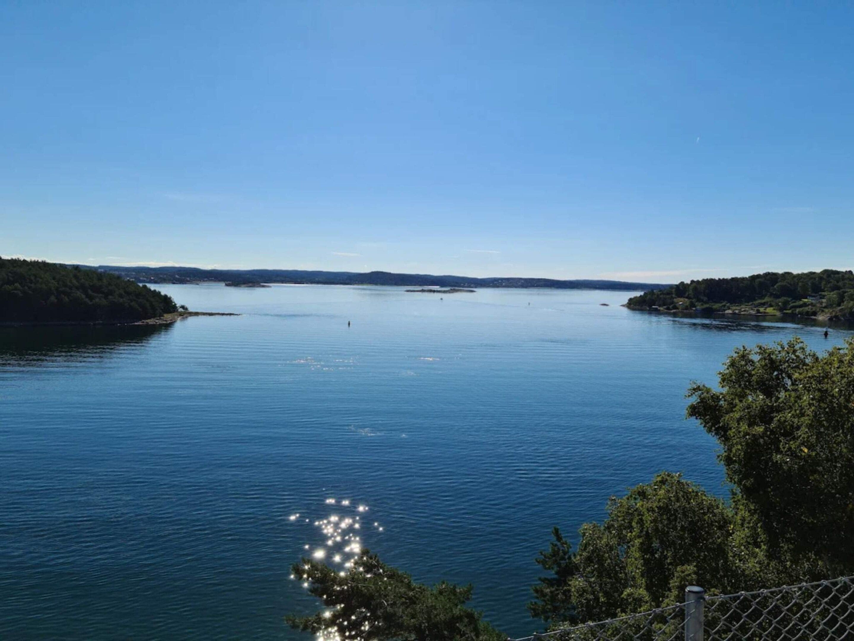 A calm lake with a clear sky, surrounded by dense forest.
