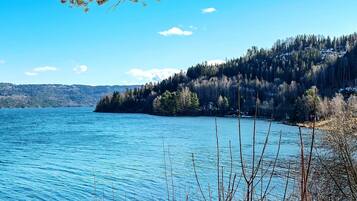Ein See mit einer bewaldeten Insel und blauem Himmel.