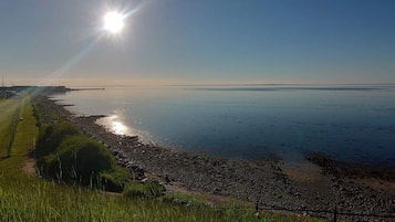 A coastal landscape with a clear sky, a sun shining over the water, and a grassy area with a fence.