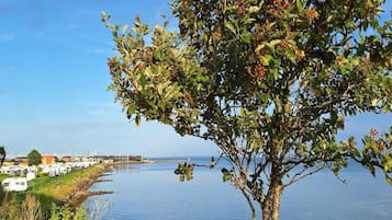 A tree-lined lakeside view with a row of RVs parked along the shore.