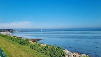 A coastal view with a grassy area, a rocky shoreline, and a pier with buildings in the background.