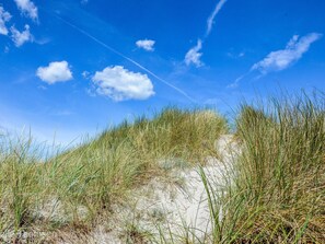 House | Miscellaneous