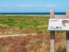 独立别墅 | 海滩