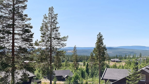 Um bairro residencial com várias casas cercadas por árvores altas e um fundo montanhoso.