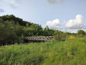 A wooden bridge over a river with dense greenery and trees in the background. - Holiday Home in Ansager (Ansager)