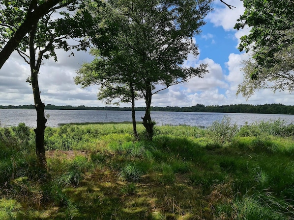 A natural landscape with a lake, trees, and grassy areas. - Holiday Home in Ansager (Ansager)