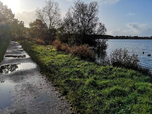 A pathway beside a lake with trees and bushes. - Holiday Home in Ansager (Ansager)