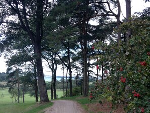 House | Miscellaneous - Holiday Home in Skals (Skals)