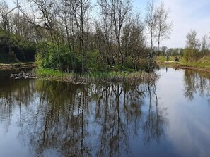 House | Water view - Holiday Home in Hemmet (Hemmet)