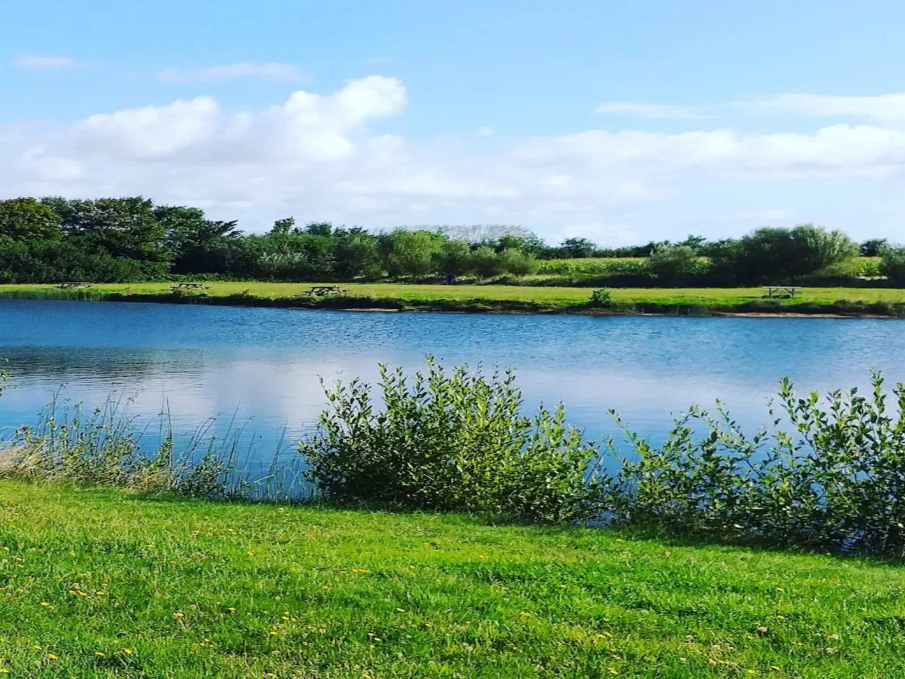 A calm lake with grassy banks and trees in the background.