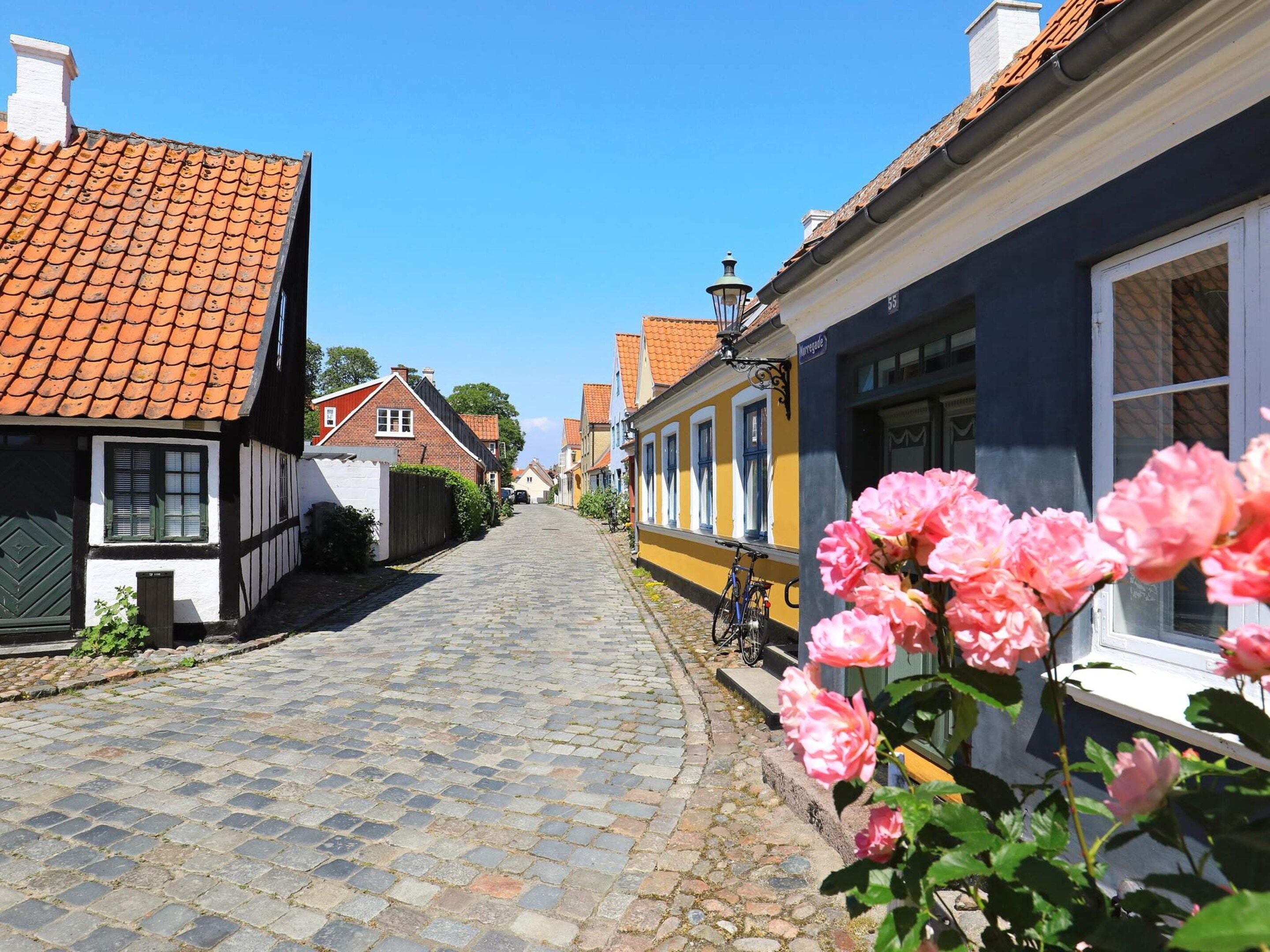 Une rue pavée bordée de bâtiments européens traditionnels, un vélo garé sur le côté et une fleur au premier plan.