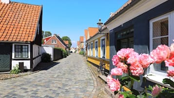 Calle empedrada flanqueada por edificios tradicionales europeos, una bicicleta estacionada al lado y una flor en primer plano.