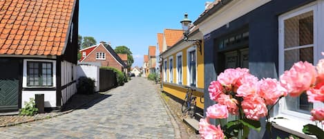 A cobblestone street lined with traditional European buildings, a bicycle parked by the side, and a flower in the foreground.