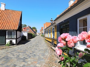 A cobblestone street lined with traditional European buildings, a bicycle parked by the side, and a flower in the foreground.