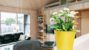 Un salon moderne avec une plante en pot jaune, un canapé noir, une bibliothèque en bois et un téléviseur.